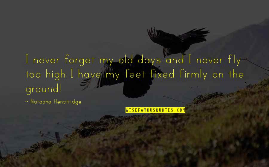 Both Feet On The Ground Quotes By Natasha Henstridge: I never forget my old days and I