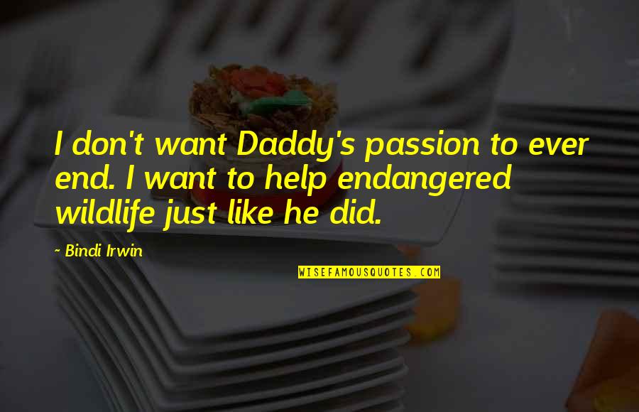 Both Like Each Other Quotes By Bindi Irwin: I don't want Daddy's passion to ever end.