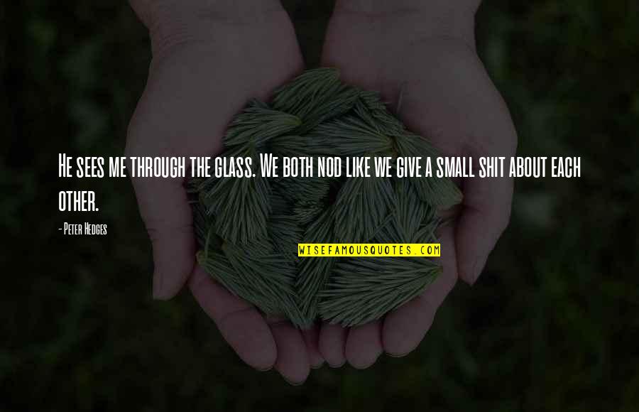 Both Like Each Other Quotes By Peter Hedges: He sees me through the glass. We both