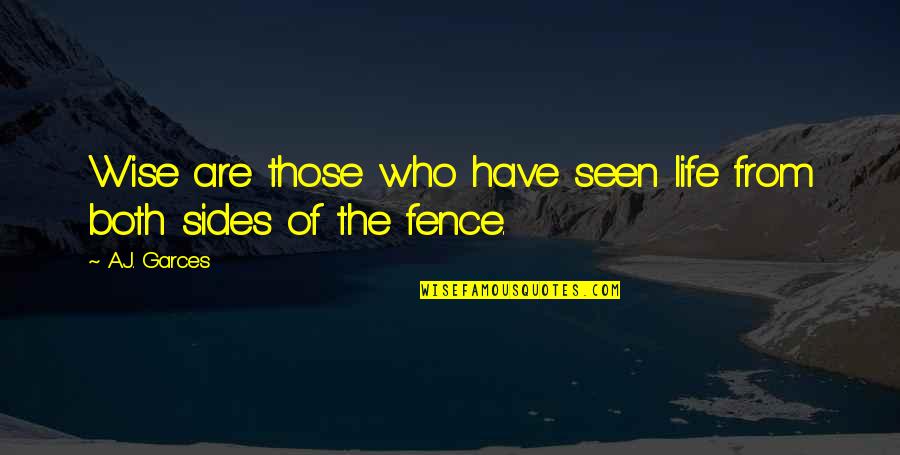Both Sides Of The Fence Quotes By A.J. Garces: Wise are those who have seen life from