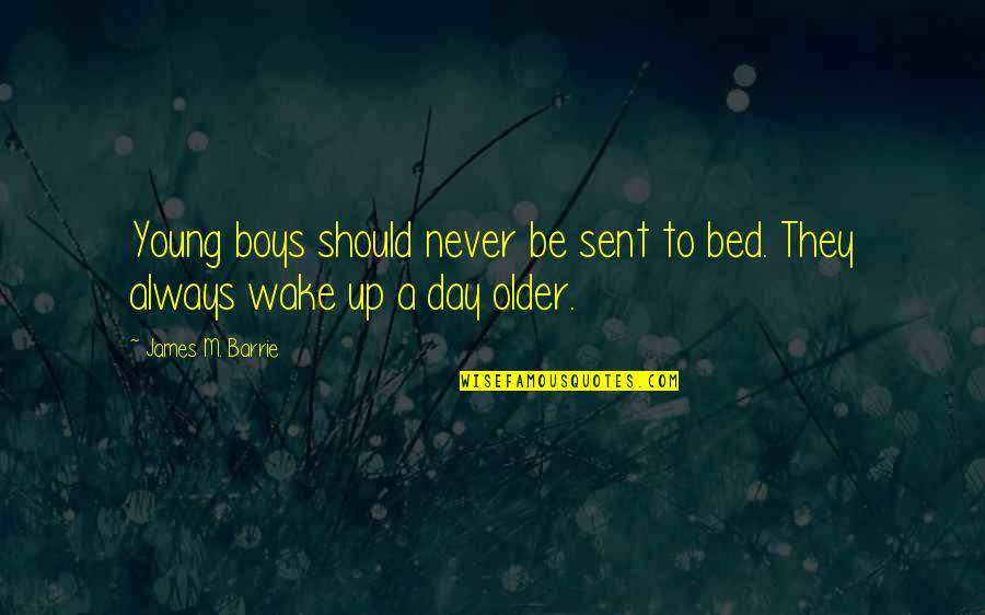 Bothered Quotes Quotes By James M. Barrie: Young boys should never be sent to bed.