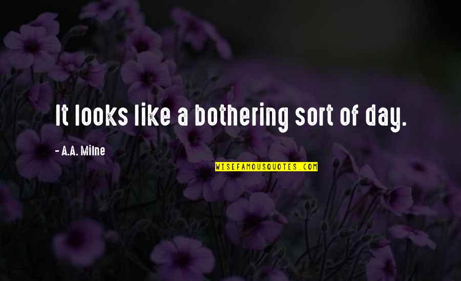 Bothering Quotes By A.A. Milne: It looks like a bothering sort of day.