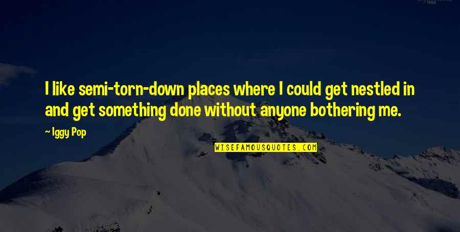 Bothering Quotes By Iggy Pop: I like semi-torn-down places where I could get
