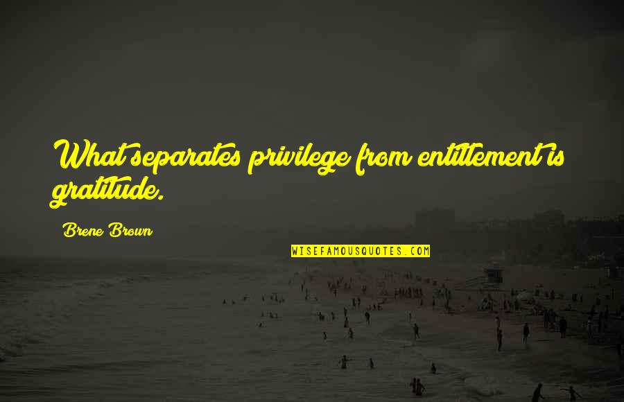 Botiquin Basico Quotes By Brene Brown: What separates privilege from entitlement is gratitude.