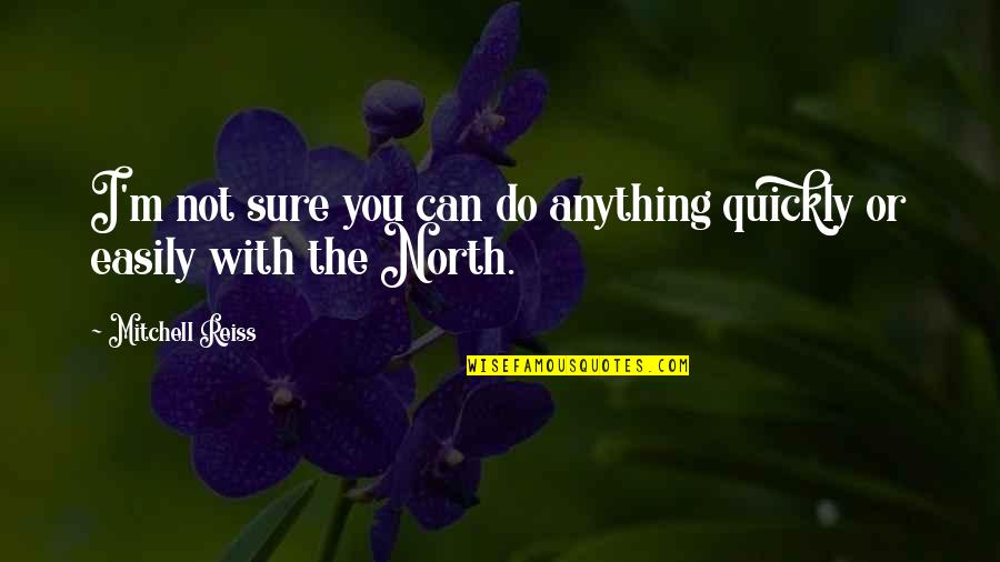 Bottai Winery Quotes By Mitchell Reiss: I'm not sure you can do anything quickly