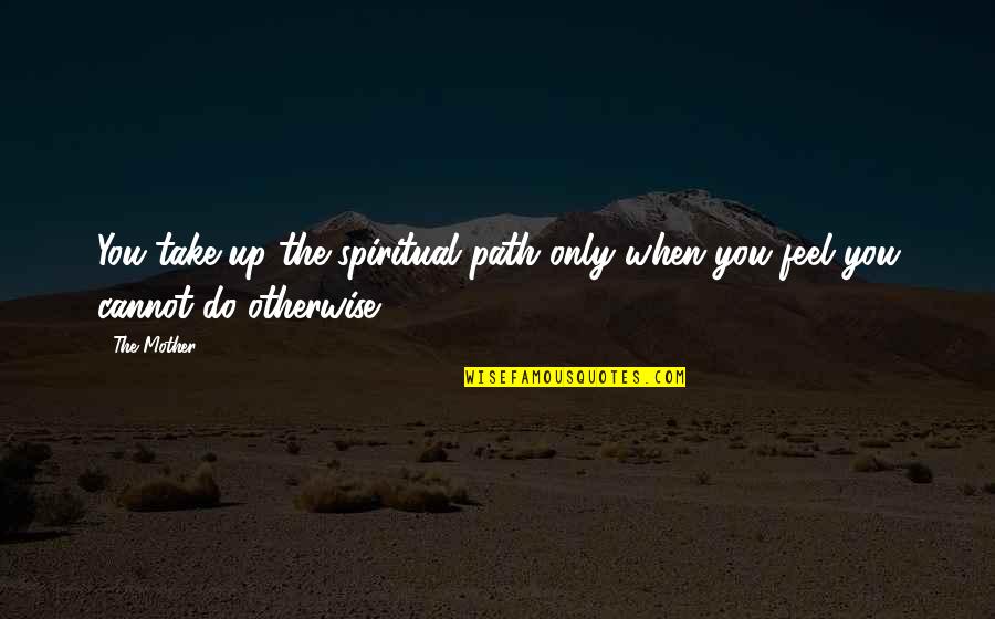 Bottlenoses Quotes By The Mother: You take up the spiritual path only when