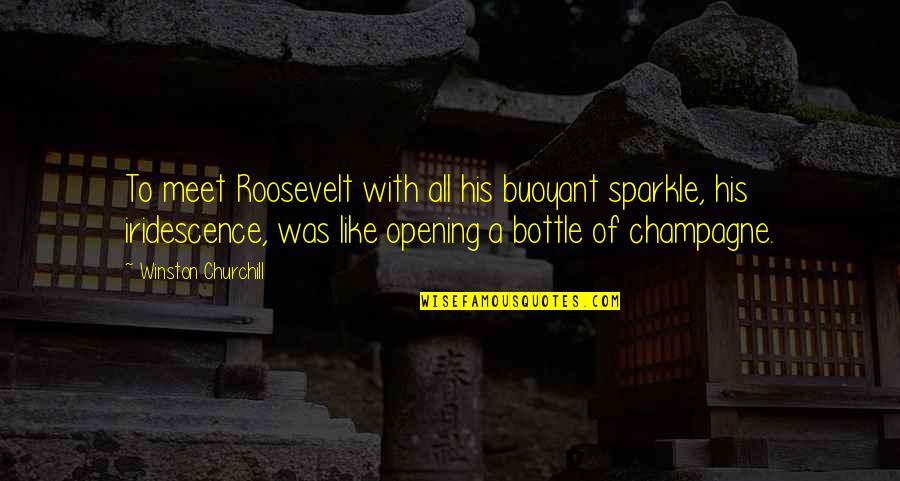 Bottles Quotes By Winston Churchill: To meet Roosevelt with all his buoyant sparkle,