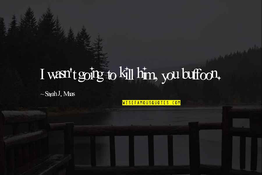 Bottomlands Pullover Quotes By Sarah J. Maas: I wasn't going to kill him, you buffoon. Bottomlands Pullover Quotes By Sarah J. Maas: I wasn't going to kill him, you buffoon.
