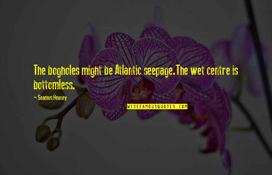 Bottomless Quotes By Seamus Heaney: The bogholes might be Atlantic seepage.The wet centre