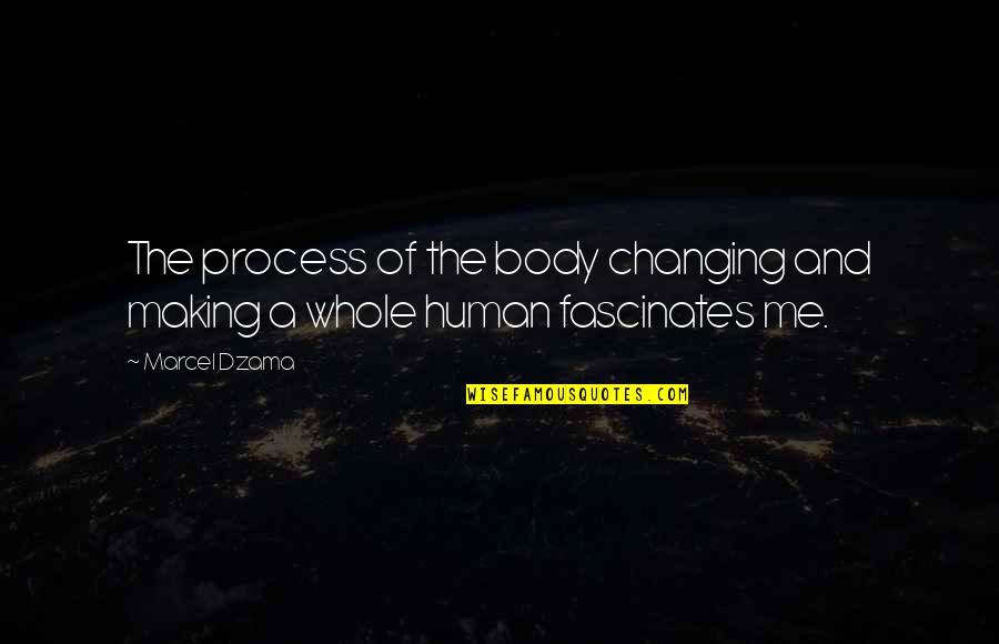 Botwana Quotes By Marcel Dzama: The process of the body changing and making