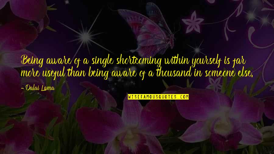 Bouazza Nmoussa Quotes By Dalai Lama: Being aware of a single shortcoming within yourself