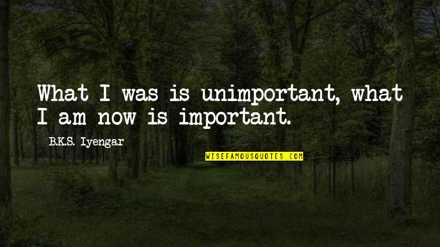 Bouchier Quotes By B.K.S. Iyengar: What I was is unimportant, what I am Bouchier Quotes By B.K.S. Iyengar: What I was is unimportant, what I am