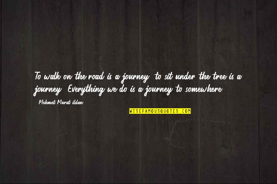 Boudeci Quotes By Mehmet Murat Ildan: To walk on the road is a journey; Boudeci Quotes By Mehmet Murat Ildan: To walk on the road is a journey;