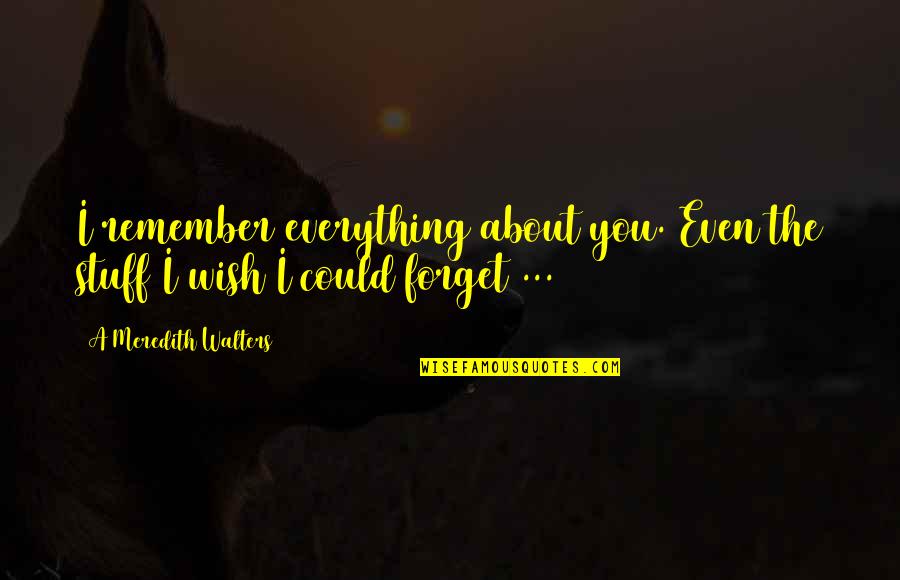 Boughen Nurseries Quotes By A Meredith Walters: I remember everything about you. Even the stuff Boughen Nurseries Quotes By A Meredith Walters: I remember everything about you. Even the stuff