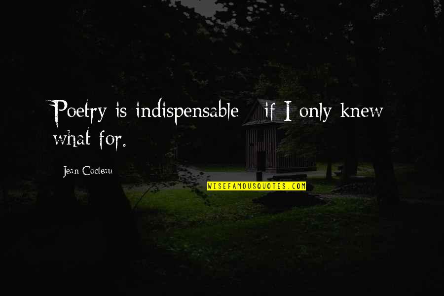 Bougy Quotes By Jean Cocteau: Poetry is indispensable - if I only knew