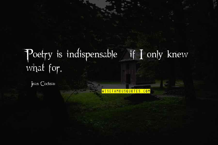 Bougy Quotes By Jean Cocteau: Poetry is indispensable - if I only knew Bougy Quotes By Jean Cocteau: Poetry is indispensable - if I only knew