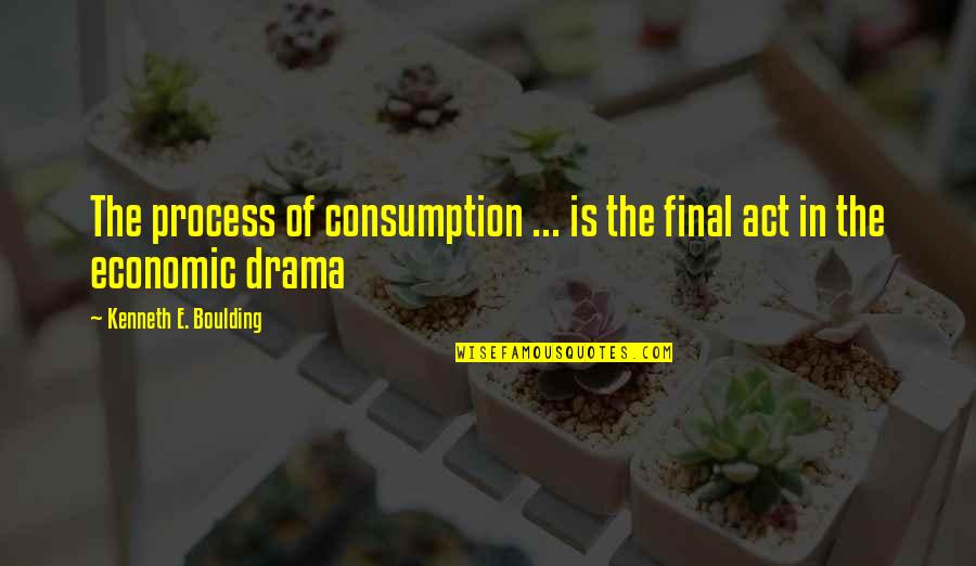 Boulding Quotes By Kenneth E. Boulding: The process of consumption ... is the final