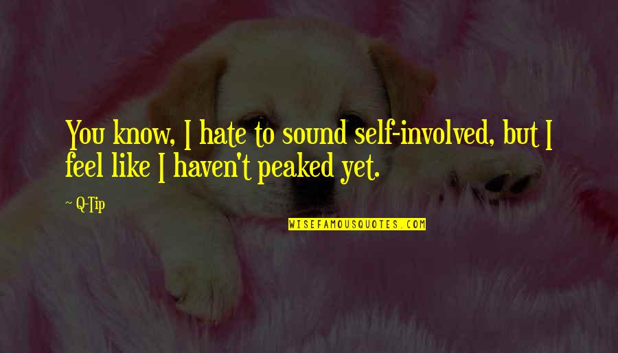 Boulevardier Pronunciation Quotes By Q-Tip: You know, I hate to sound self-involved, but