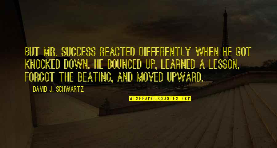 Bounced Off Quotes By David J. Schwartz: But Mr. Success reacted differently when he got Bounced Off Quotes By David J. Schwartz: But Mr. Success reacted differently when he got