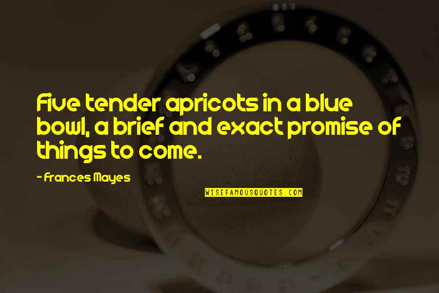 Bounciness Crossword Quotes By Frances Mayes: Five tender apricots in a blue bowl, a