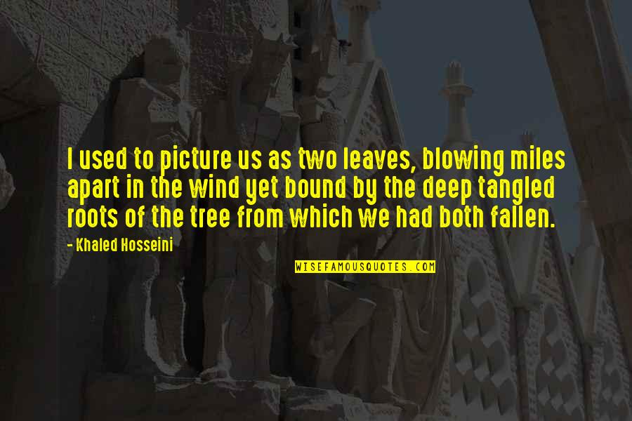 Bound Quotes By Khaled Hosseini: I used to picture us as two leaves,