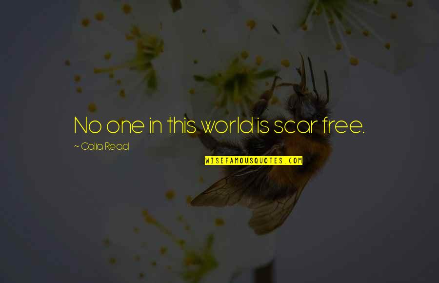 Bound Souls Quotes By Calia Read: No one in this world is scar free.