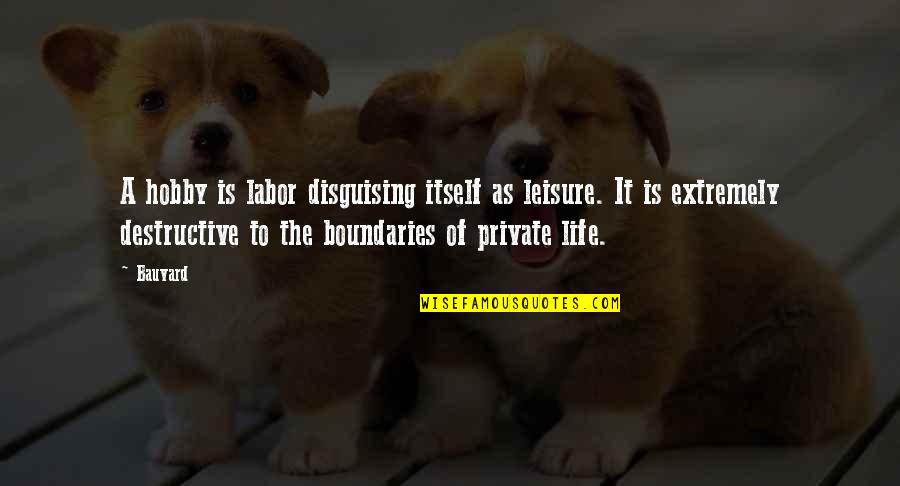 Boundaries Quotes By Bauvard: A hobby is labor disguising itself as leisure.