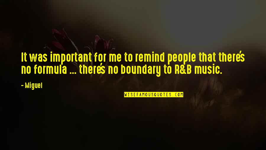 Boundary Quotes By Miguel: It was important for me to remind people