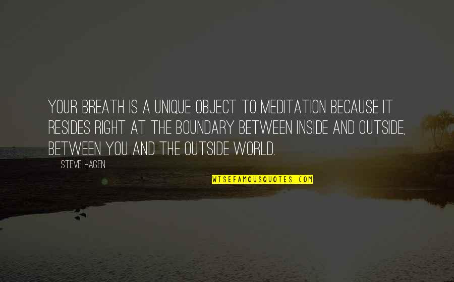Boundary Quotes By Steve Hagen: Your breath is a unique object to meditation
