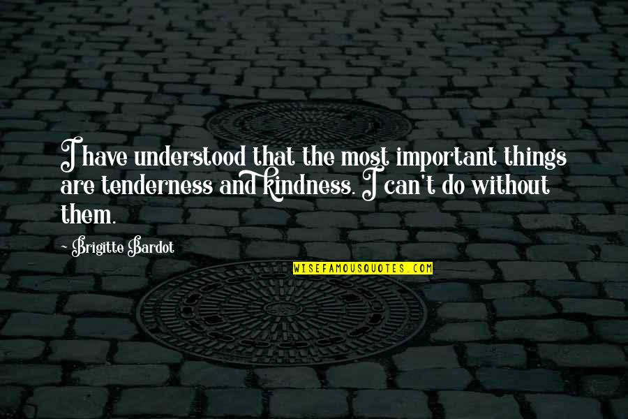 Bourgini Quotes By Brigitte Bardot: I have understood that the most important things Bourgini Quotes By Brigitte Bardot: I have understood that the most important things