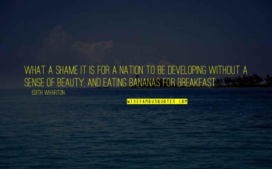 Bourlet De Graisse Quotes By Edith Wharton: What a shame it is for a nation