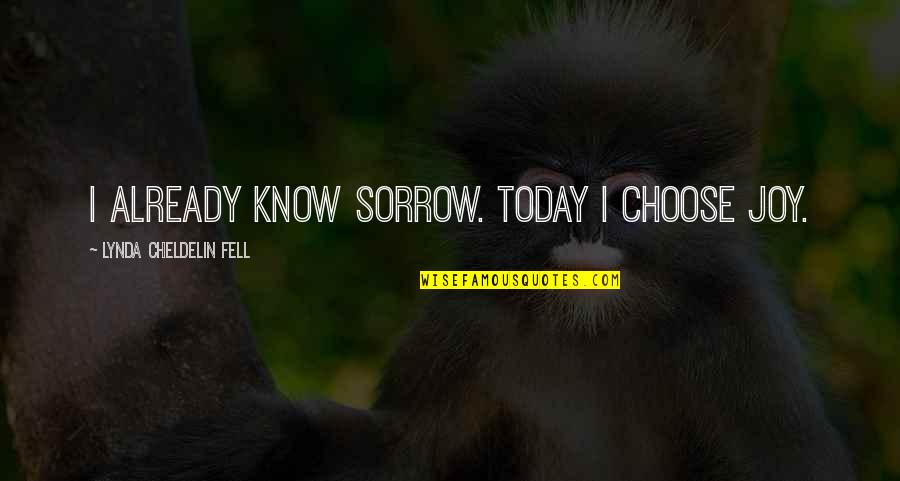 Bourliers Power Quotes By Lynda Cheldelin Fell: I already know sorrow. Today I choose joy.