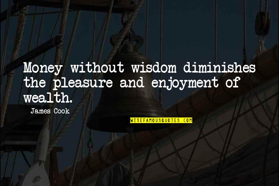 Boussala Quotes By James Cook: Money without wisdom diminishes the pleasure and enjoyment
