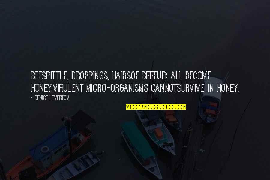 Boussif Quotes By Denise Levertov: Beespittle, droppings, hairsof beefur: all become honey.Virulent micro-organisms Boussif Quotes By Denise Levertov: Beespittle, droppings, hairsof beefur: all become honey.Virulent micro-organisms