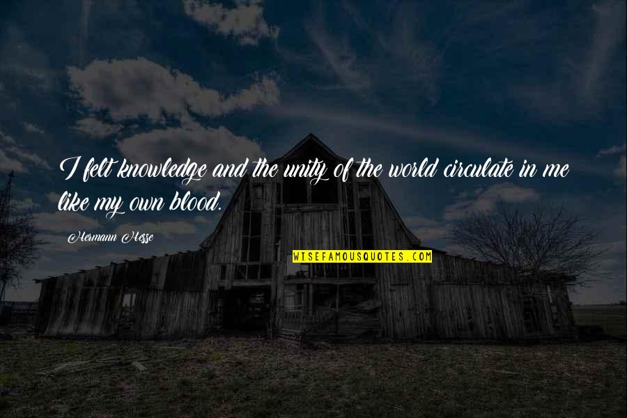 Bouthillier Construction Quotes By Hermann Hesse: I felt knowledge and the unity of the