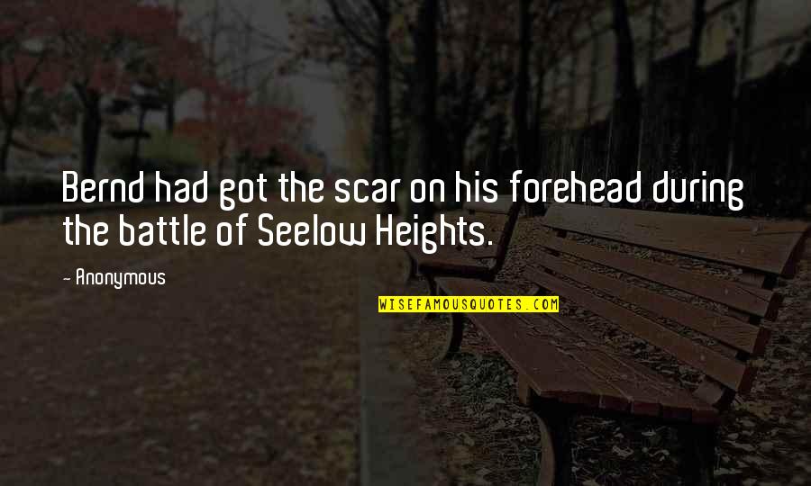 Bouthillier Street Quotes By Anonymous: Bernd had got the scar on his forehead