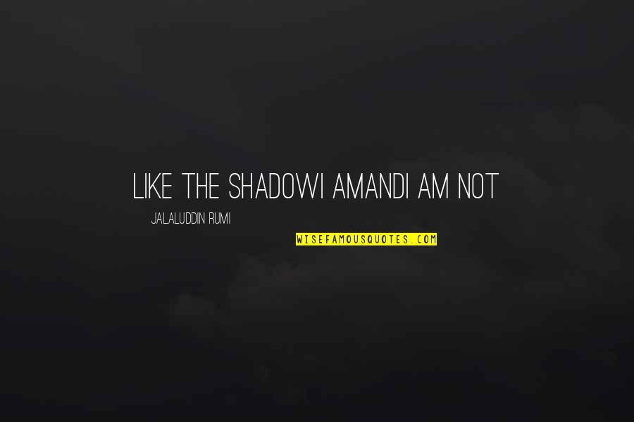 Bouthillier Street Quotes By Jalaluddin Rumi: Like the shadowI amandI am not