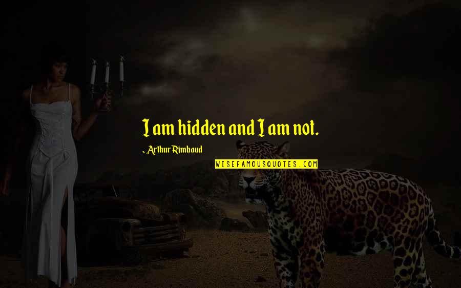 Boutiera Quotes By Arthur Rimbaud: I am hidden and I am not.