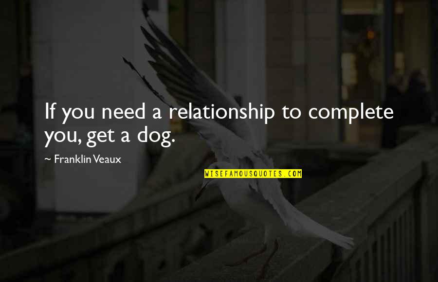 Bouw Op Niemand Quotes By Franklin Veaux: If you need a relationship to complete you,