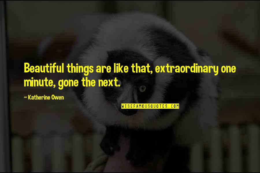Bouzas En Quotes By Katherine Owen: Beautiful things are like that, extraordinary one minute,