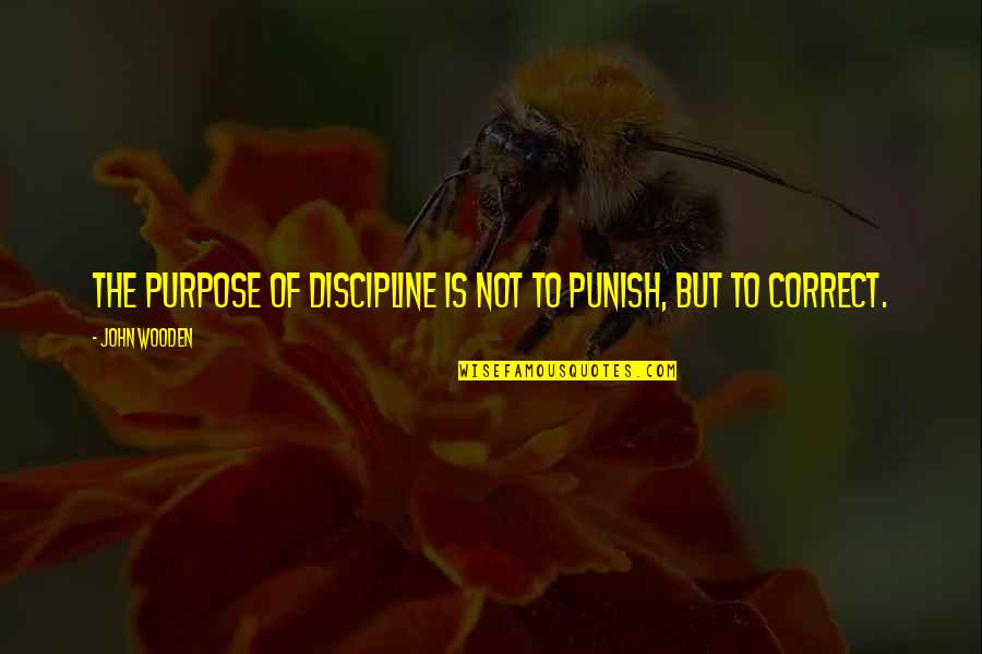 Bouzy Wine Quotes By John Wooden: The purpose of discipline is not to punish,