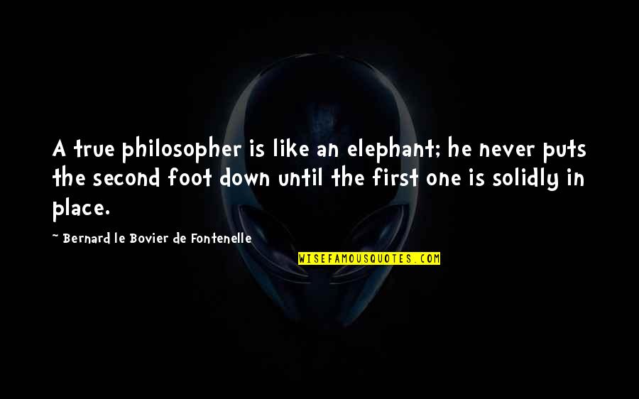Bovier Quotes By Bernard Le Bovier De Fontenelle: A true philosopher is like an elephant; he