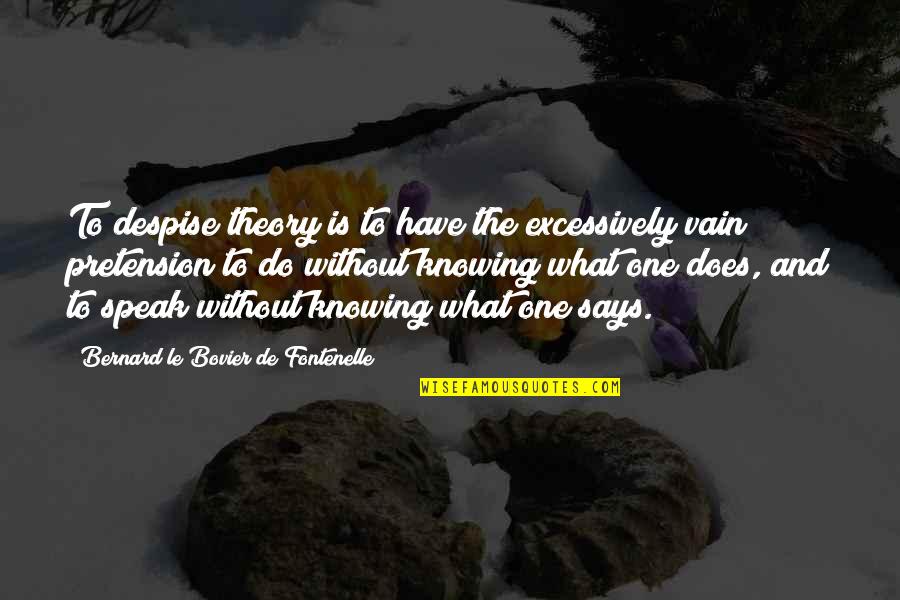 Bovier Quotes By Bernard Le Bovier De Fontenelle: To despise theory is to have the excessively