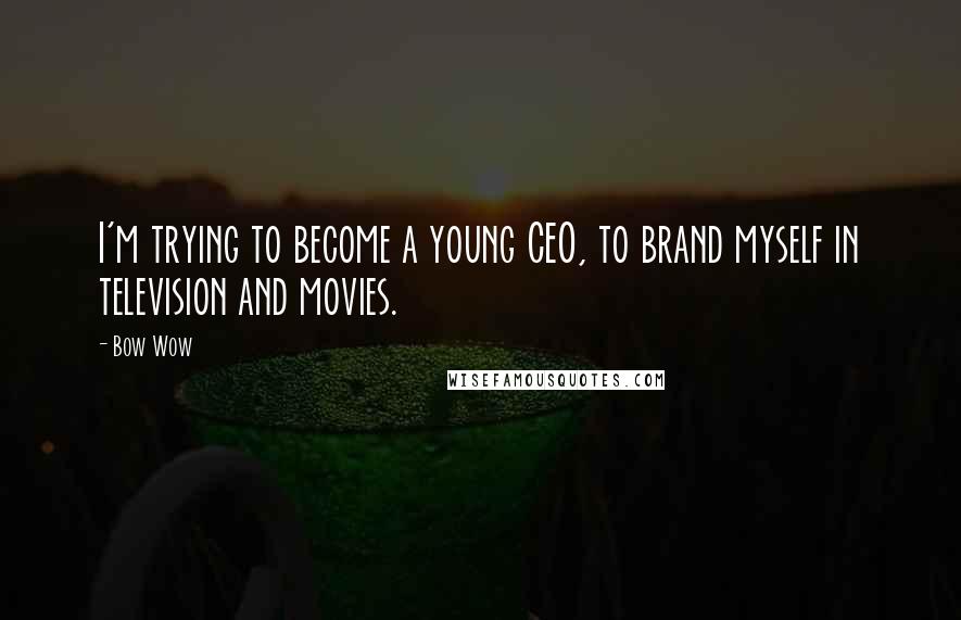 Bow Wow quotes: I'm trying to become a young CEO, to brand myself in television and movies.