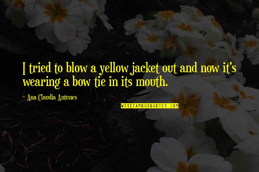 Bow'd Quotes By Ana Claudia Antunes: I tried to blow a yellow jacket out