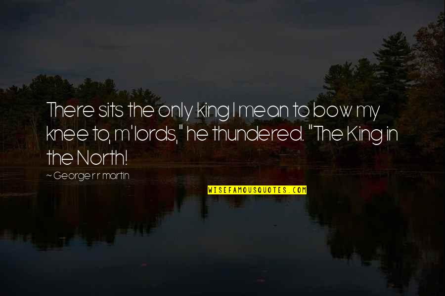 Bow'd Quotes By George R R Martin: There sits the only king I mean to