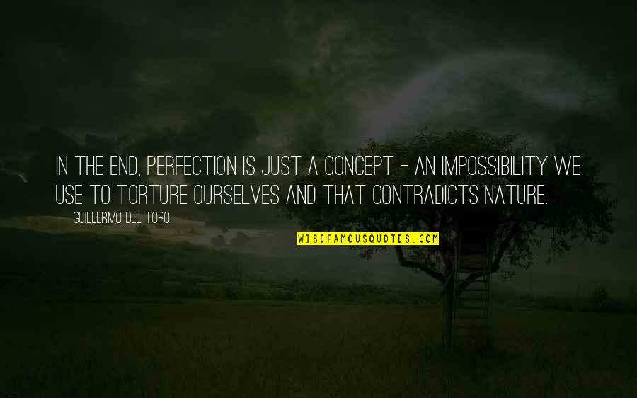 Bowers Gang Quotes By Guillermo Del Toro: In the end, perfection is just a concept