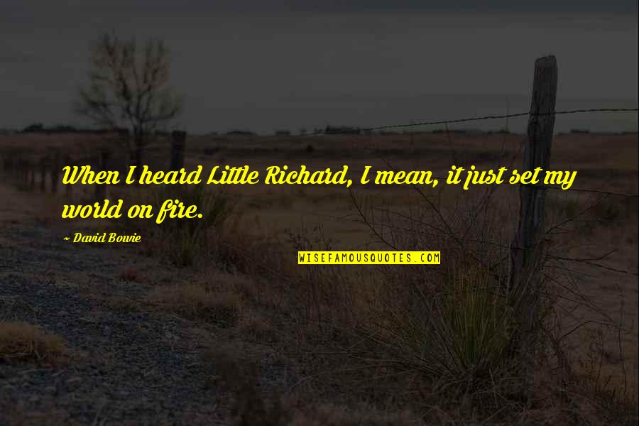 Bowie On Bowie Quotes By David Bowie: When I heard Little Richard, I mean, it
