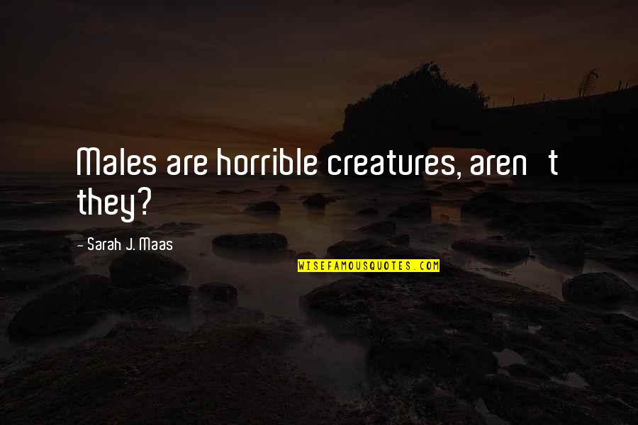 Bowlicks Quotes By Sarah J. Maas: Males are horrible creatures, aren't they?