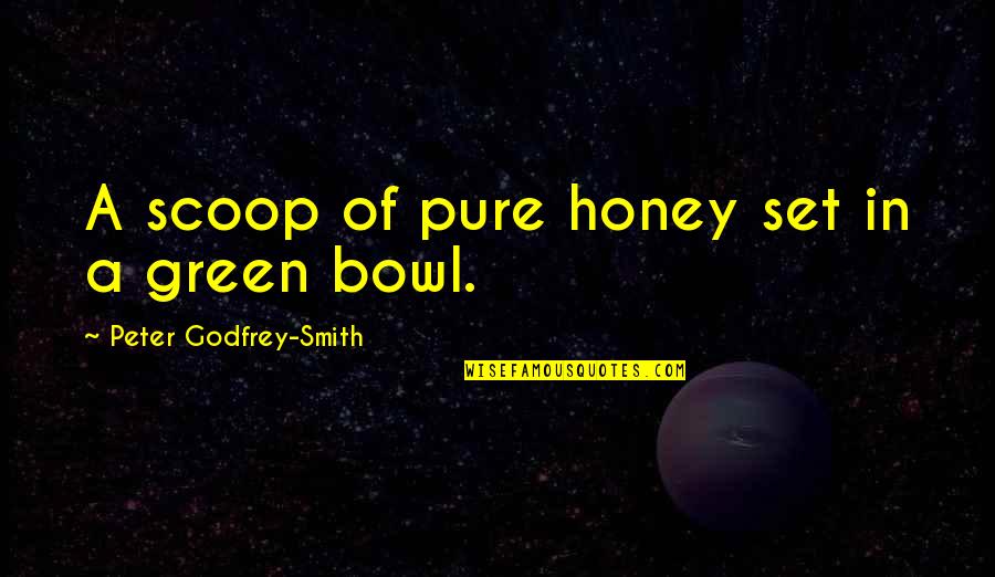 Bowls Quotes By Peter Godfrey-Smith: A scoop of pure honey set in a